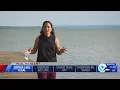 Cayuga Lake Algal Blooms What they look like and how they can be harmful