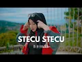 Download Lagu DJ STECU STECU - BEBIRAIRA (Official Music Video)