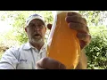 Modelo Pina Picante Chelada 3 5 abv The Beer Review Guy