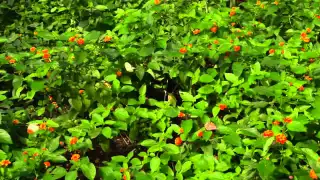 التحذر من إضاعة الصلاة صالح الفوزان 