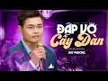 Lagu Đập Vỡ Cây Đàn - Giọng Ca Đặc Biệt Duy Phương | MV Nhạc Vàng Xưa