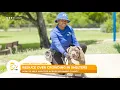 Pet overpopulation creates year-round shelter capacity issues in Broward County communities