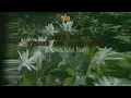 Download Lagu Boomerang - Agar Tak Pernah Ada Kata Benci (Video Klip Palsu Film jadul Indonesia) dengan lirik