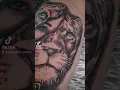Mother lioness cubs tattoo