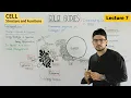 Golgi apparatus structure and function of golgi body 7