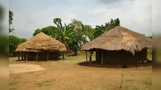 historia ya idd amin tangu utoto matukio mpaka kufa