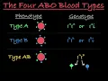 Blood Type Genetics Explained