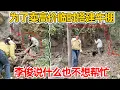 Lagu 村民听到风声，村里要大发展，为房子能卖高价 赶紧临时修建牛棚