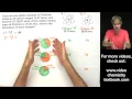 Atomic Mass How to Calculate Isotope Abundance