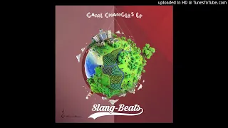 slang beatz sa 058 groove tech mix