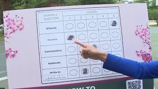 Early voting starts in DC with new ranked choice voting NBC4 Washington