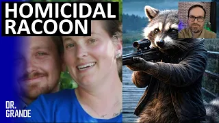 Three Anti-Fatherhood Women Have Trouble Explaining Mysterious Bridge Death Shea Briar Analysis