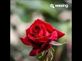 Download Lagu Seribu Kali Cinta - Christie (Cover) #wesing #seribukalicinta #coverlagu
