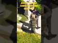 Sean Diddy Combs Children being Handcuffed during raid