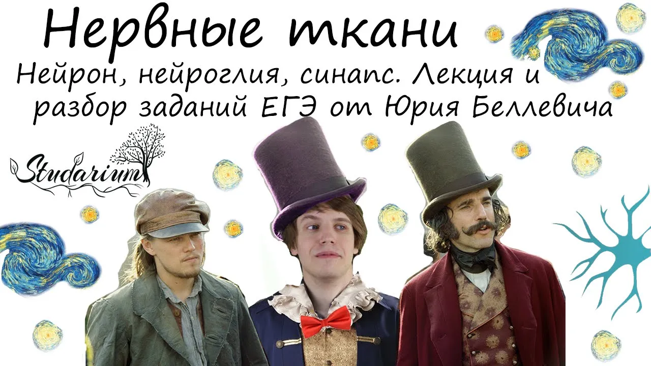 Нервные ткани. Нейрон, нейроглия, синапс. Лекция и разбор заданий от Юрия Беллевича