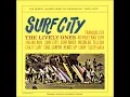 Surf Rider