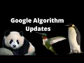 Google Algorithm Updates - Vital Information for SEO Students