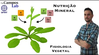 Nutrição Mineral (1/3): Introdução a Nutrição Mineral em Plantas