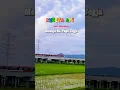 Download Lagu Kereta Api Bandara Bagai Ular Soundtrack 22 Januari by Iwan fals #shorts #videos