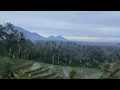 Download Lagu Rindik Bali Suara Desa untuk Hari Bahagia  Resepsi Elegan | Recorded with a Drone
