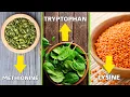 How To Get ALL 9 Amino Acids on a Vegan Diet