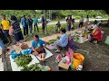Download Lagu TAMU PAKAN DI PAGI MINGGU BANYAK JUALAN SAYURAN // TAMU PAKAN TERKENAL DENGAN KASAM ENSABI // 