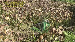 kh i ng m a qu c i tr i nghi m th c t s n ph m v t t l p tr c khi g i i cho kh ch