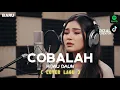 Lagu Cobalah - Hijau Daun COVER - TikTok Viral