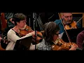Renaud Capuçon, Brussels Philharmonic, Stephane Denève – Le Grand Blond (Cinema)
