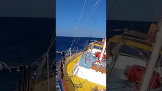 Take a minute for sailing