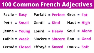 The 100 Most Common French Adjectives 