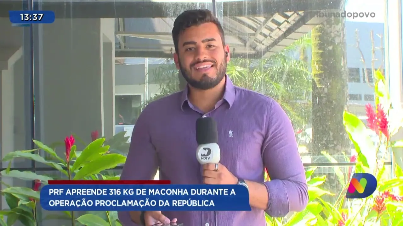 PRF apreende 316 kg de maconha durante a operação Proclamação da República