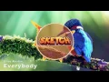 Download Lagu Elias Naslin - Everybody (Sketch Intro/Outro 2016)