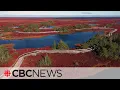Inside the peatlands Big business buried deep in N B bogs
