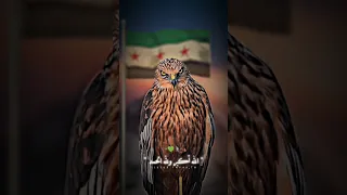 كبروا الله اكبر أرفعوها باللواء اكسبلور سوريا  كبروا الله اكبر أرفعوها باللواء اكسبلور سوريا