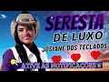 Download Lagu JOSEANE DOS TECLADOS ✔ EM SERESTA  BREGA DE LUXO