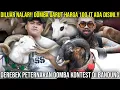 Download Lagu DILUAR NALAR.!! DOMBA GARUT HARGA 100 JT ADA DISINI.!! | GEREBEK PETERNAKAN DOMBA KONTEST DI BANDUNG
