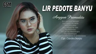 Download Dj-Remix Lir Pedote Banyu - Anggun Pramudita I Official Music Video MP3