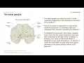 Parkinson s Disease Neurobiology Genetics WEEK 6 PARKINSONS DISEASE
