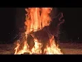 Pyro-Sculptors Built a Massive Dire-Wolf - Just to Set it on Fire