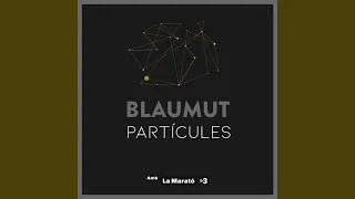 Partícules