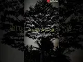 Download Lagu Story wa sholawat dzikrullah || #dzikrullah