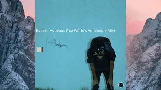 kabee aqueous tea whites ambiteque mix 