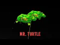 Mr Turtle