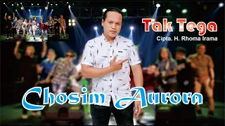 tak tega chosim aurora auroramusic cover 