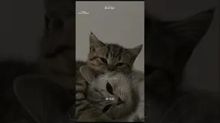 والضحى والليل إذا سجى سورة الضحى القارئ ماهر المعيقلي قرآن Quran 