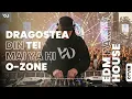 Lagu DRAGOSTEA DIN TEI MAI YA HI Cover - EDM PARTY HOUSE