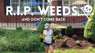 Download Easiest Way To Get Rid Of Weeds! 🌾// Cheap💰 \u0026 Fast🏃‍♀️💨 // Crystal Does MP3