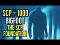 Download Lagu SCP-1000 (Bigfoot) The SCP Foundation Explored