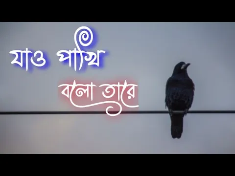 Download MP3 Jao pakhi bolo tare lyrics|যাও পাখি বলো তারে | সোনার ও পালঙ্কের ঘরে |bangla song | as lyrics bd